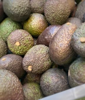 Aguacate Hass Granel (PERÚ)